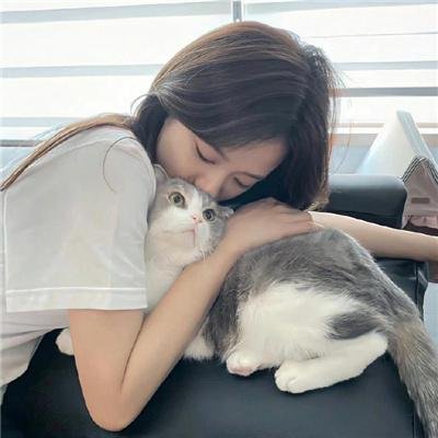史迪奇头